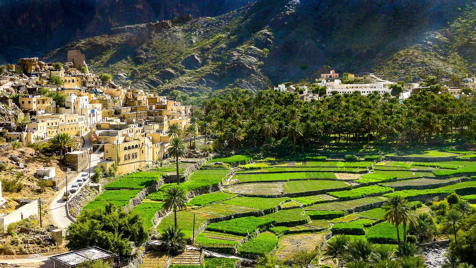 تور عمان